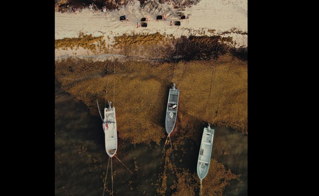 Foto: Leonardo Domínguez/ EL UNIVERSAL