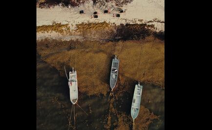 Aseguran 200 kilos de cocaína entre sargazo en Quintana Roo