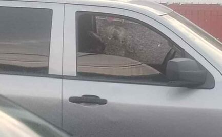 Horas después del ataque en su contra, muere escolta del Secretario de Seguridad de Celaya