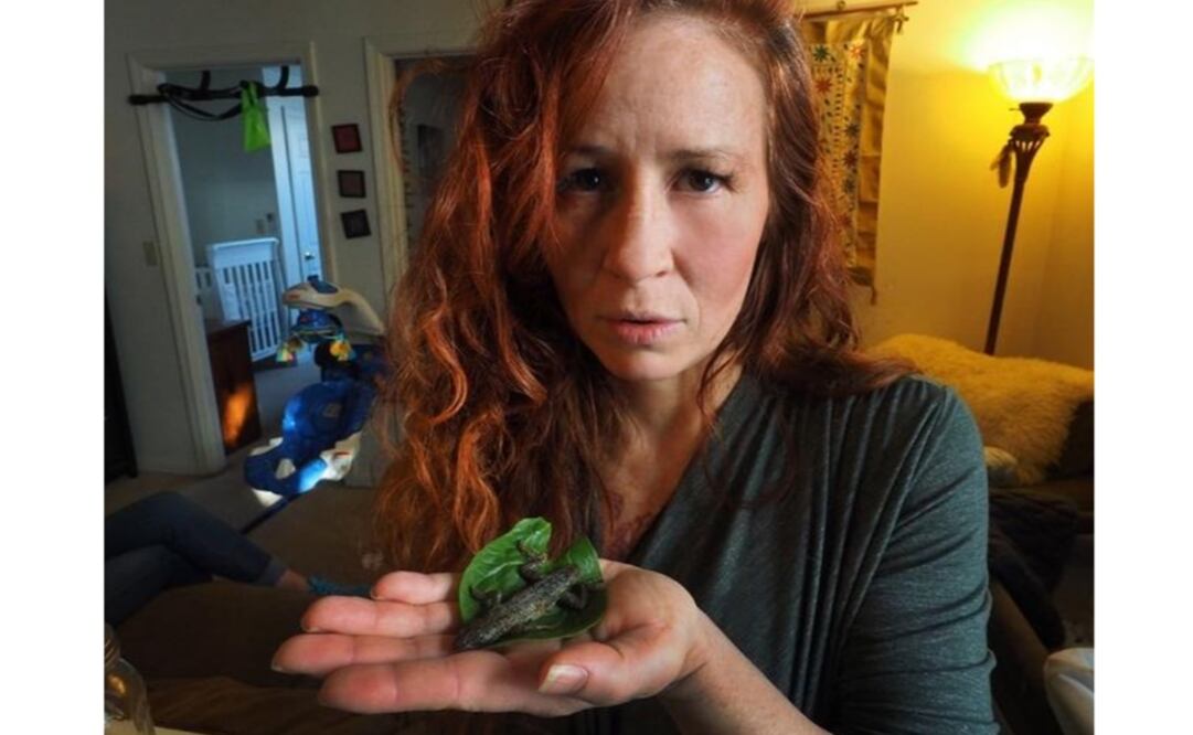 Video. Mujer casi se come lagartija que halló en empaque de lechuga