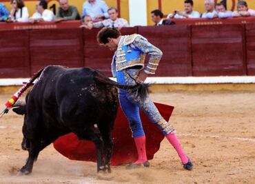 Prohibición de corridas de toros en la CDMX; termina parlamento abierto sobre iniciativa, ¿qué sigue ahora?