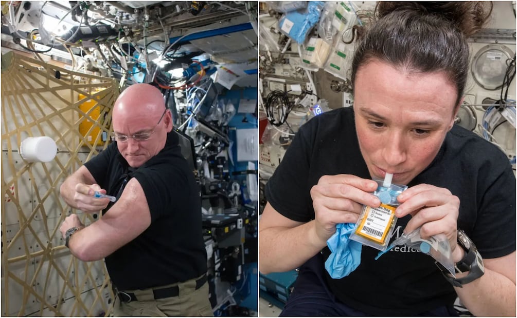 Pruebas de biomarcadores inmunitarios. Foto: NASA