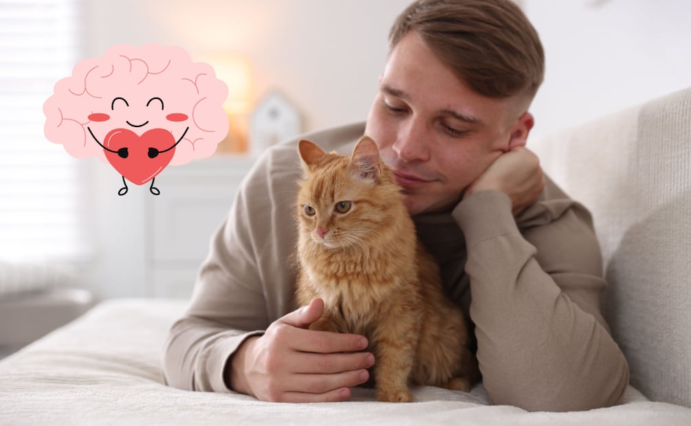 Tu gato procesa mejor la información cuando le hablas con un tono de voz suave. Foto: Canva