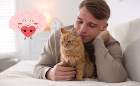 Mascotas y salud mental; ¿por qué abrazar a tu perro o gato reduce el estrés según la ciencia?