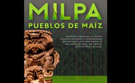 Exploran la importancia de la milpa en México