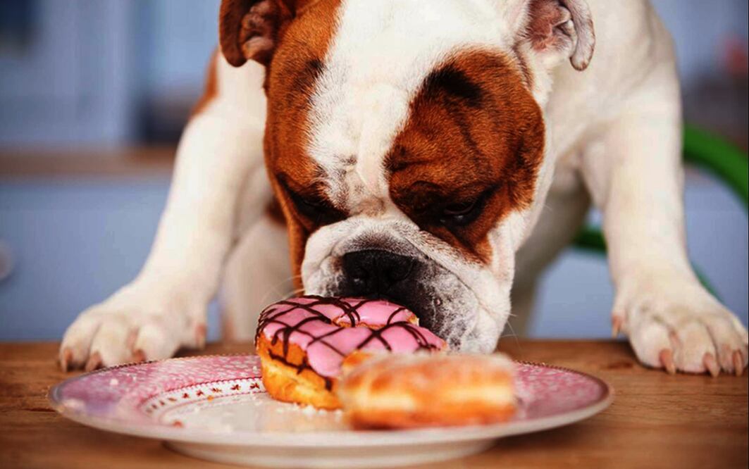 Foto: Cortesía UNAM