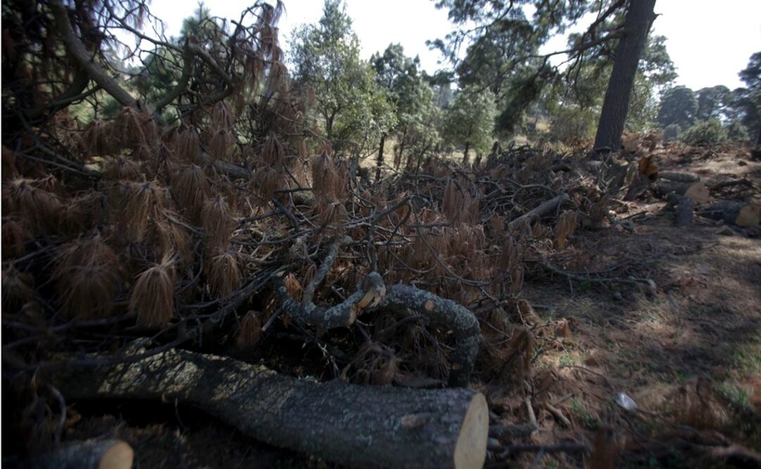 (Foto: Archivo/El Universal)
