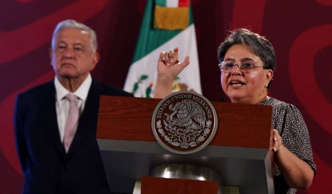 Buenrostro reiteró que el SAT no solicitó la constancia de situación fiscal sólo necesita el nombre y el código postal. Foto: Carlos Mejía