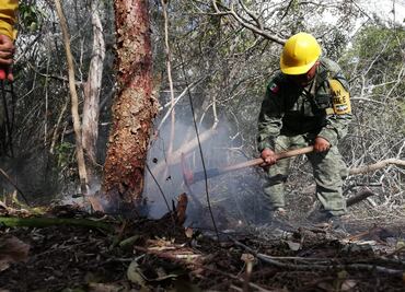 Controlan en 90% incendio en la reserva de Sian Ka'an, Q. Roo