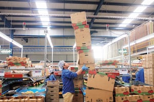 EU pide que un porcentaje de trabajadores de México tengan salarios de 16 dólares la hora: CCE; señala "postura ruda”