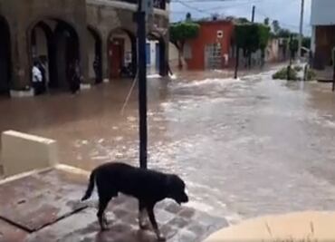 "Willa" desborda el río Acaponeta en Nayarit; deja inundaciones