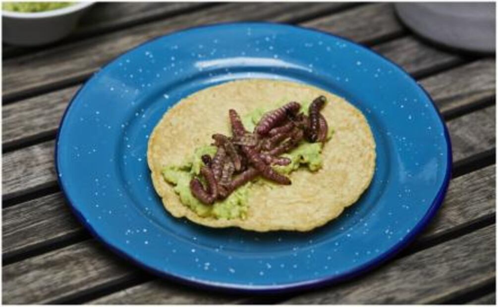 De la Tacopedia a la televisión