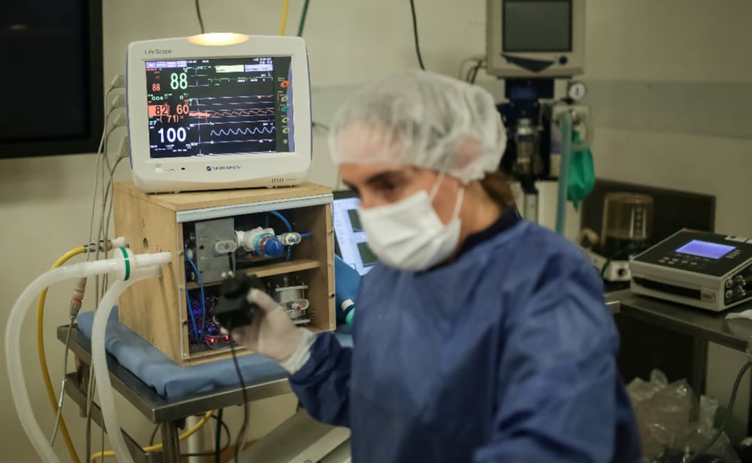 The company is owned by León Bartlett, the son of CFE director Manuel Bartlett - Photo: Jhon Paz/Xinhua