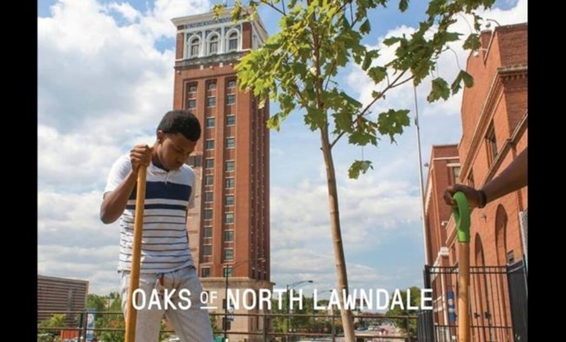 Photo: Courtesy of Pedro Reyes Studio