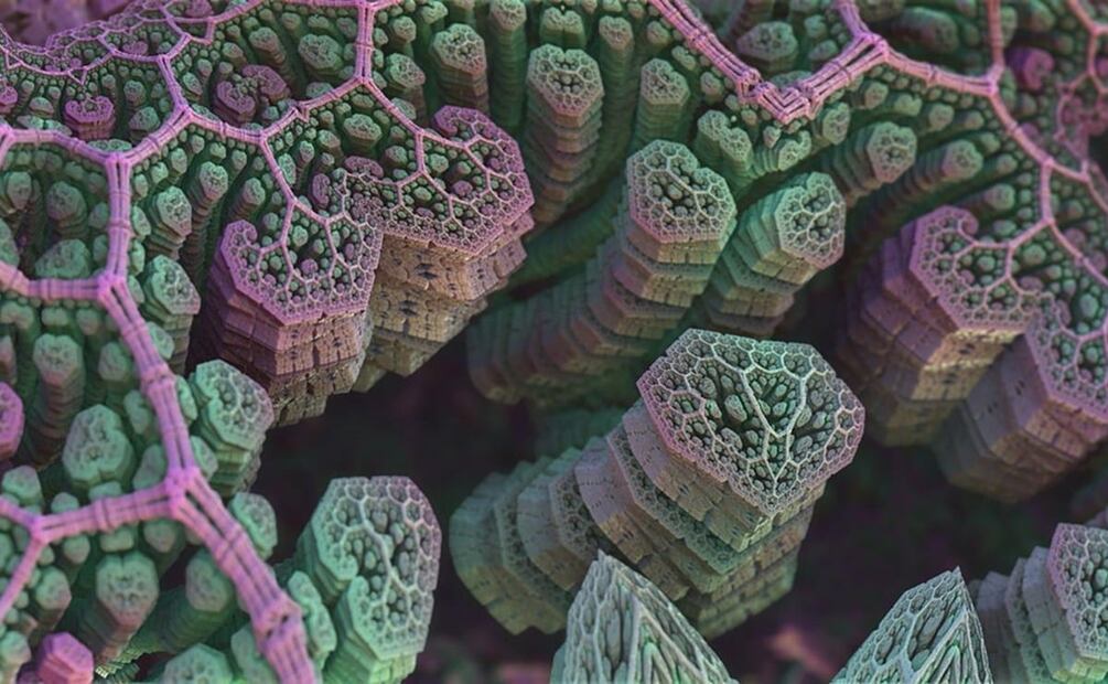 bacteria. / Foto: Pixabay