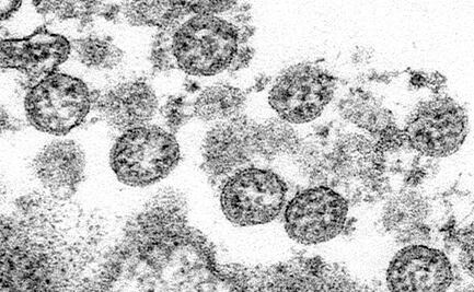 Desarrollan dispositivo que mide carga viral de Covid-19 en 30 minutos