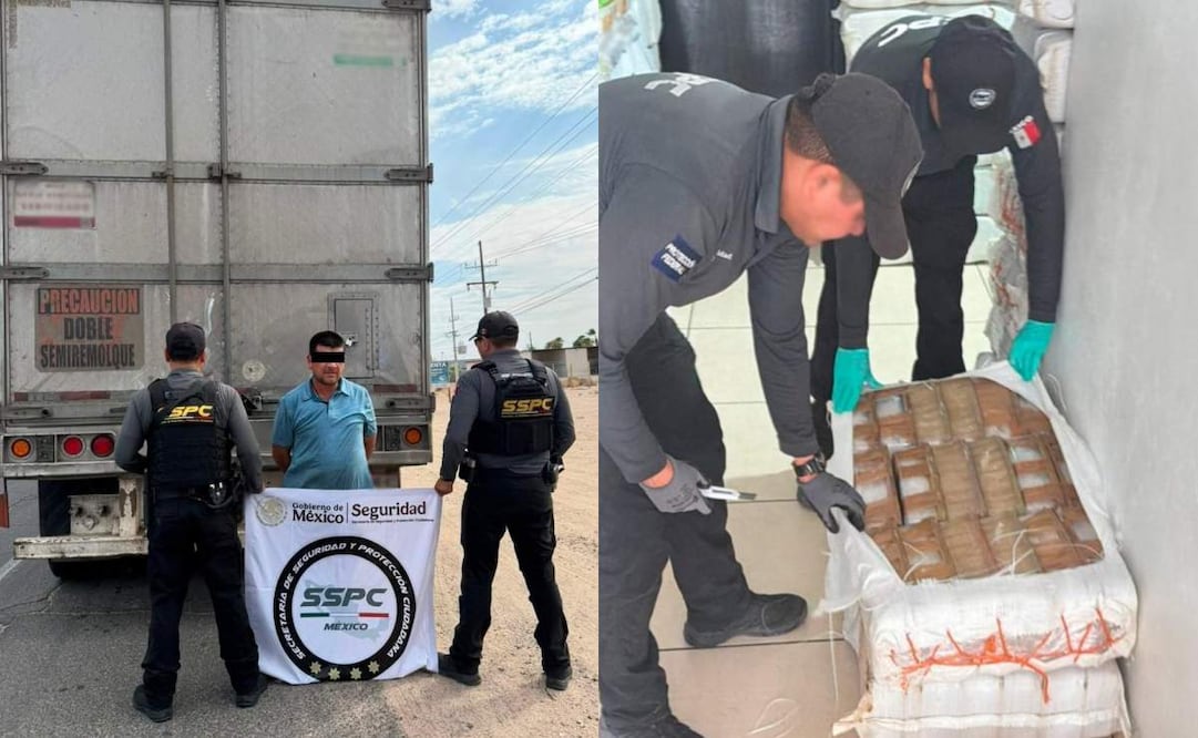 Autoridades federales aseguran más de tres toneladas de metanfetamina ocultas en alimento para ganado en Sonora. Foto: Especial