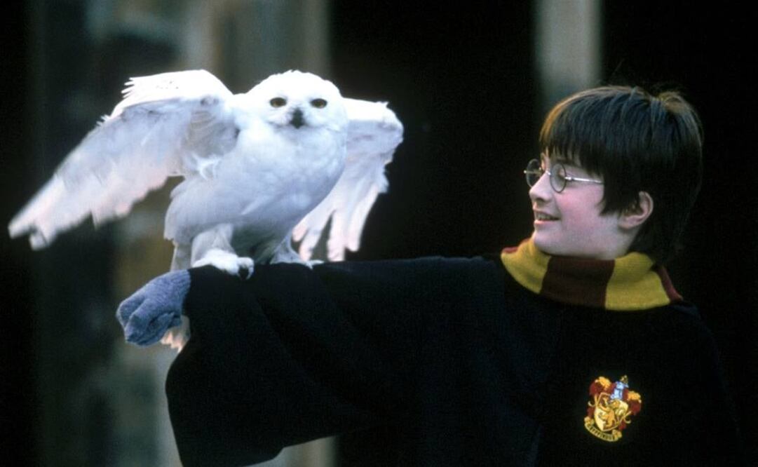 Como en la saga fílmica del mago, en ""Harry Potter and the Cursed Child" se quiso imitar el uso de lechuzas, pero el plan falló. FOTO: Archivo/REUTERS.