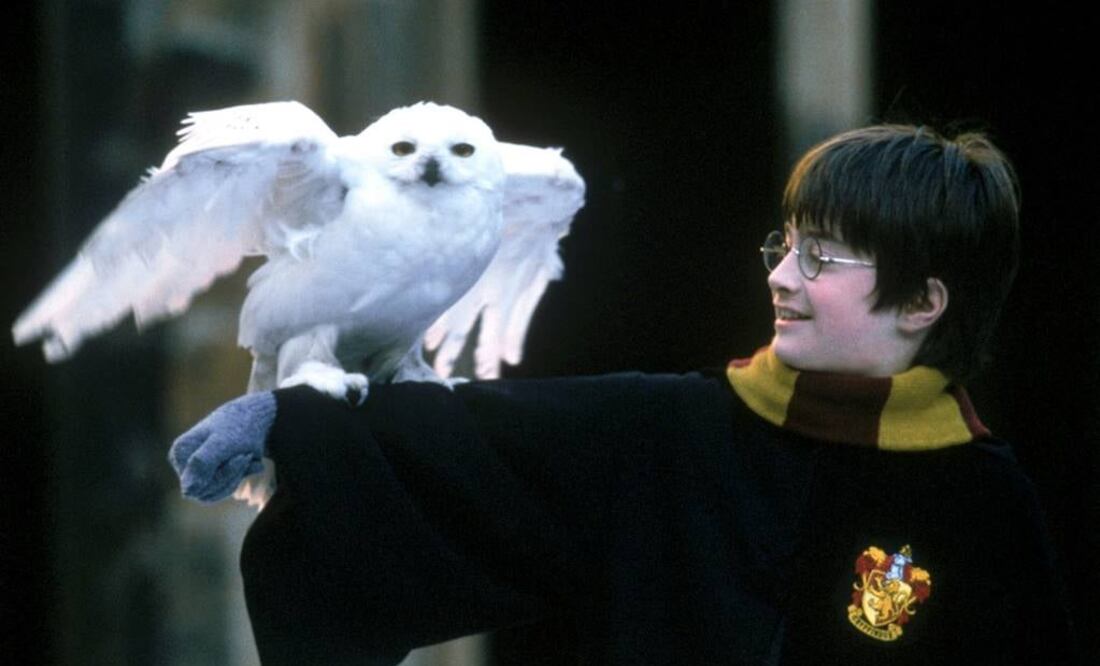 Como en la saga fílmica del mago, en ""Harry Potter and the Cursed Child" se quiso imitar el uso de lechuzas, pero el plan falló. FOTO: Archivo/REUTERS.