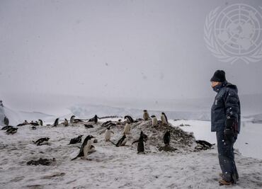Limpiamos, y ponemos orden en “nuestra casa”, o el implacable cambio climático la hará inhabitable