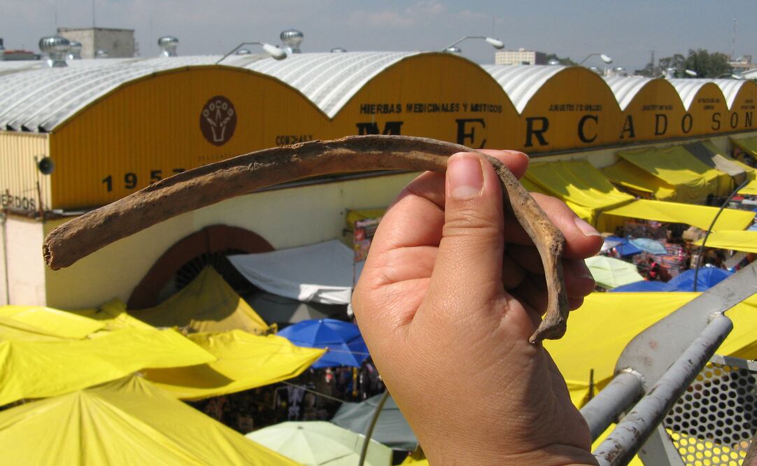 En el mercado de Sonora se pudo conseguir un hueso humano con el que realizan “trabajos” de santería. (CARLOS MEJÍA. EL UNIVERSAL)
