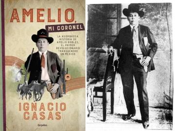 Las dos guerras del coronel Amelio Robles