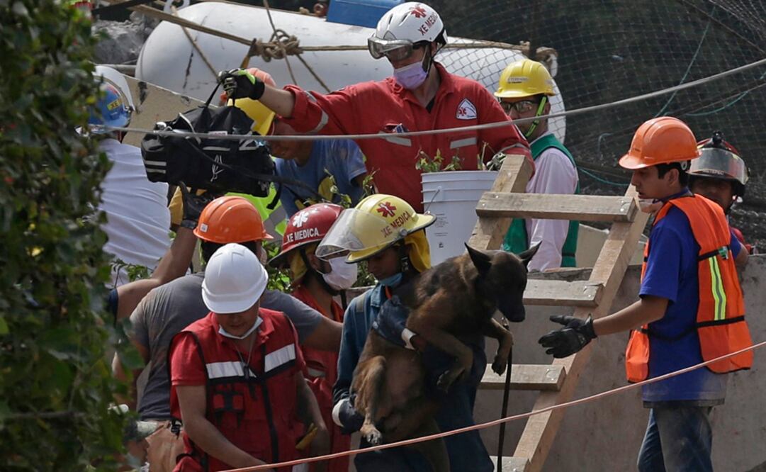 Trabajos de rescate en el Colegio Rébsamen. Fotografía de AP