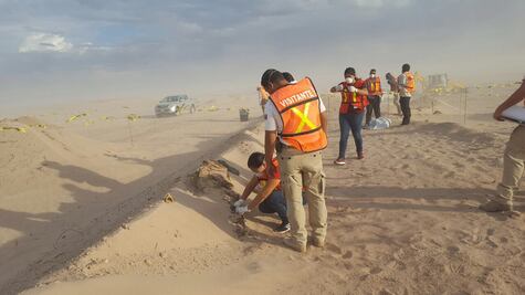 Hallan osamenta en construcción de parque solar en Coahuila