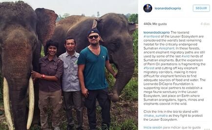Indonesia vetaría a DiCaprio por denuncia de peligro ambiental