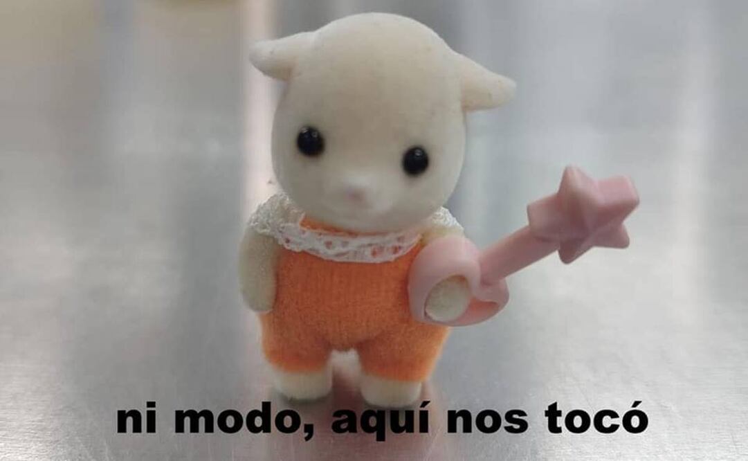 Los pequeños muñecos de los Ternurines se han viralizado en redes con memes sobre la vida adulta / Foto: Redes