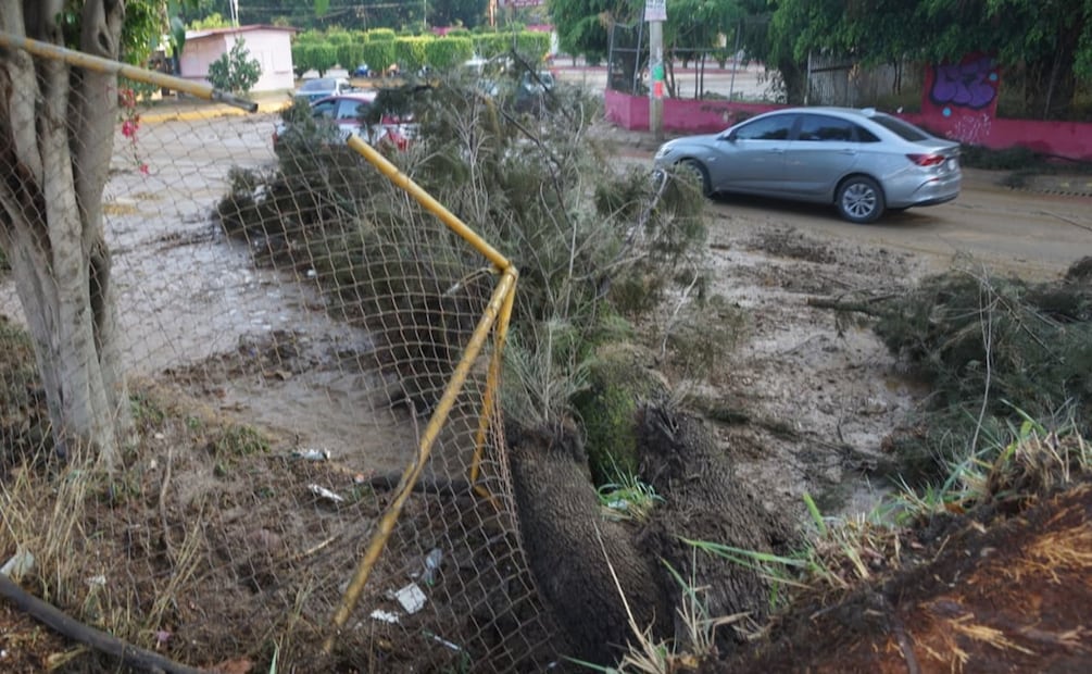 Foto: Edwin Hernández / EL UNIVERSAL