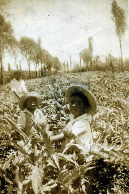 El archivo que guarda la historia de Iztapalapa