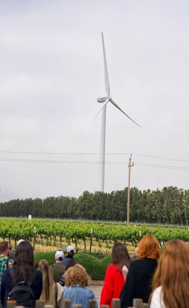 Foto: Cortesía / Richard Morley para Wine Institute.