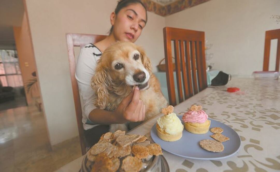 Mariana vende pasteles, paletas congeladas, galletas y muffins para mascotas. Recibe ayuda sobre alimentación y cómo crecer el negocio. Foto: Jorge Alvarado/ EL UNIVERSAL.