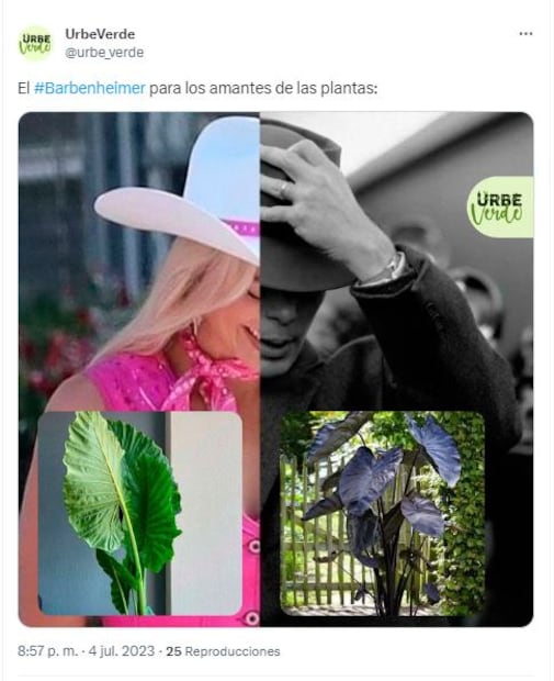 Memes por "Barbenheimer"