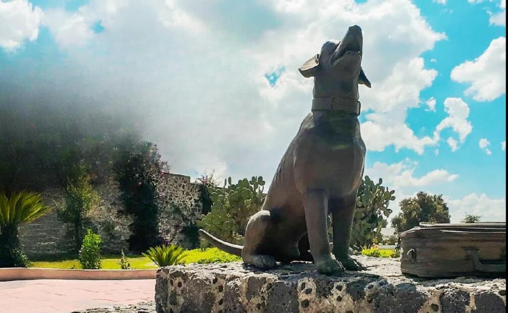 Morgan, el perro tuerto que se convirtió en una estatua de bronce del Senasica. Foto: Captura