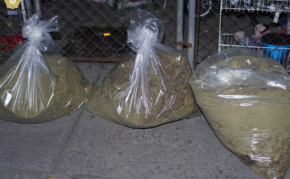 Policía capitalina asegura 350 kilos de marihuana en cateo en Venustiano Carranza; detienen a tres hombres. Foto: Especial