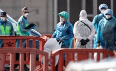 OMS mantiene riesgo bajo por brote de hantavirus en crucero; autoridades vigilan posibles nuevos contagios