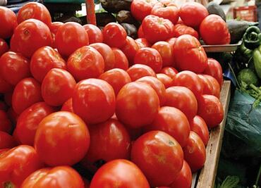 U.S. imposes 17.5% tariff on Mexican tomatoes