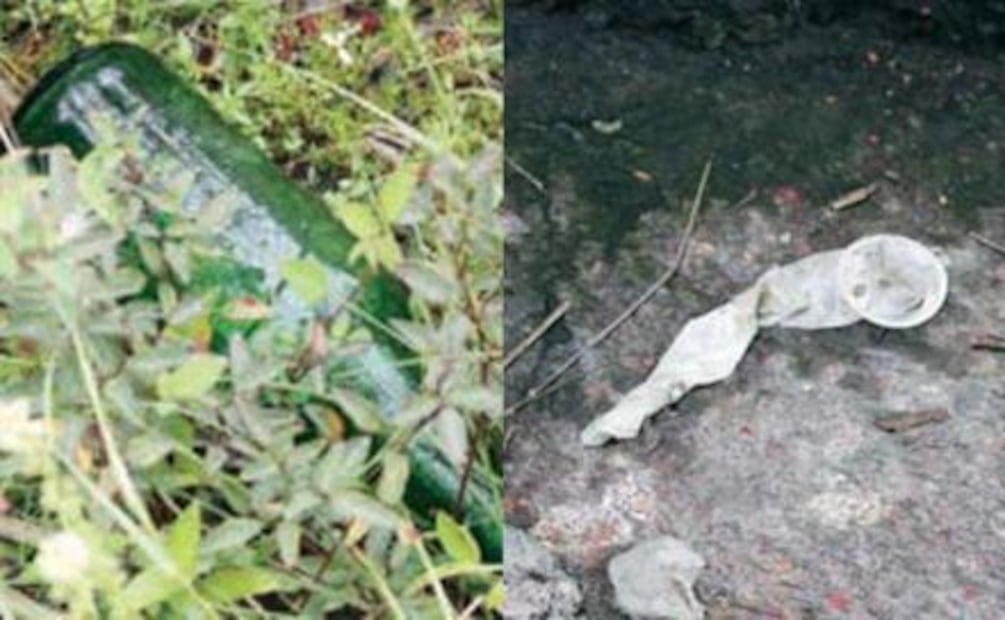 Al rescate de flora y fauna en CU