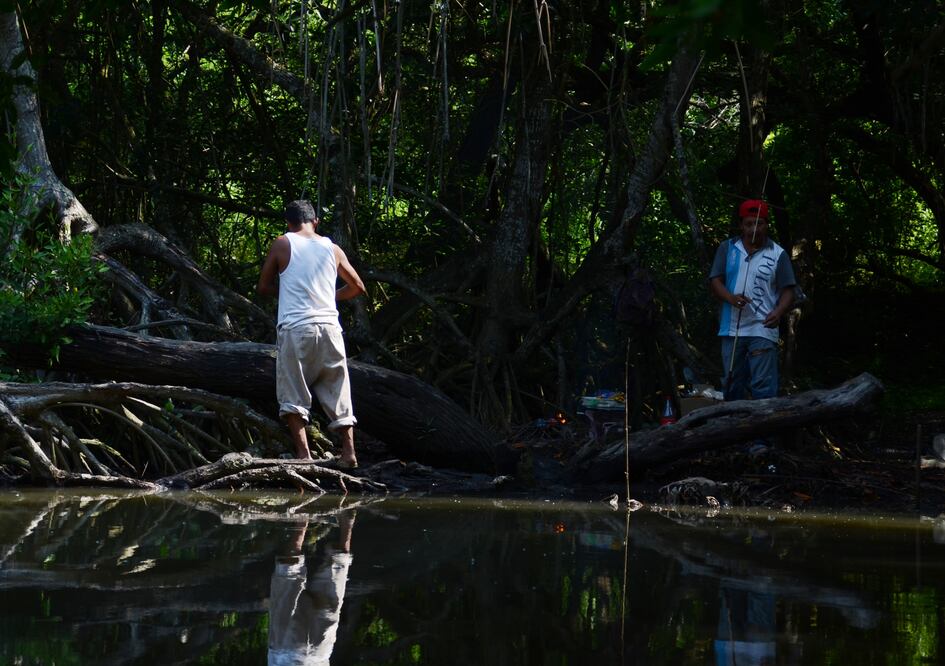 Foto: archivo/EL UNIVERSAL