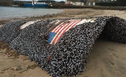 Restos de cohete lanzado por NASA aparecen en Inglaterra