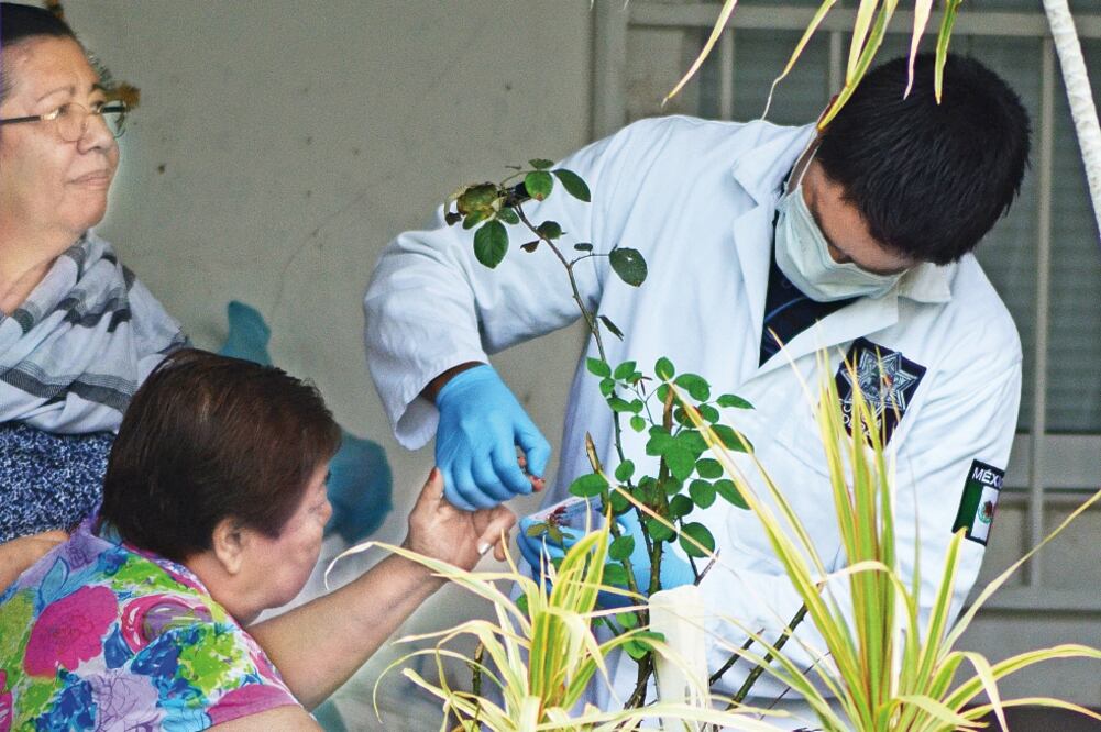 Expertos toman muestras de ADN a los familiares de personas desaparecidas para compararlas con las de los restos que han sido encontrados en un predio cercano al fraccionamiento Colinas de Santa Fe, en el puerto de Veracruz. (PATRICIA MORALES. EL UNIVERS)