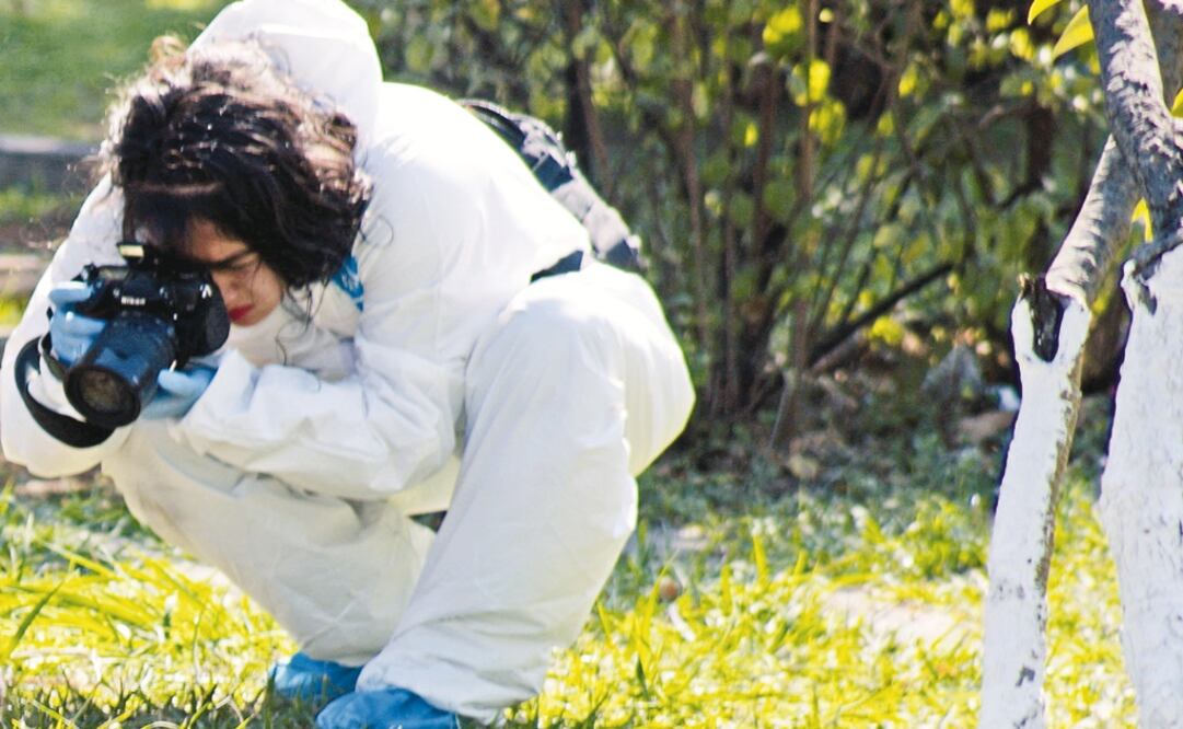 Foto: Archivo/Cuartoscuro               