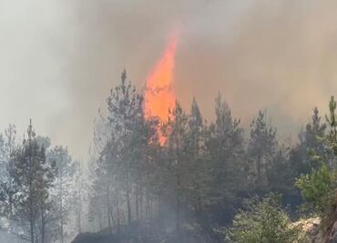 Incendio forestal en Hidalgo deja varias personas intoxicadas