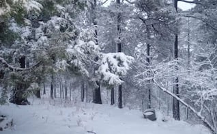 Tercera tormenta invernal deja nevadas en tres municipios de Chihuahua; reportan lluvias en otras regiones