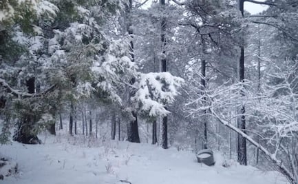 Tercera tormenta invernal deja nevadas en tres municipios de Chihuahua; reportan lluvias en otras regiones