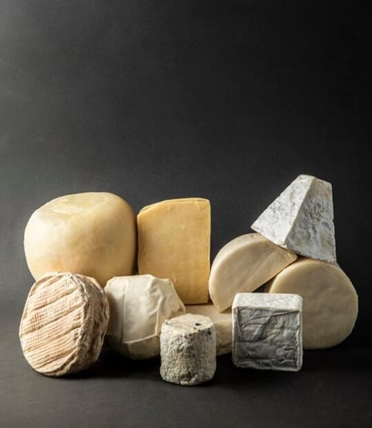 Los 4 quesos mexicanos que ganaron medallas en el World Cheese Awards 