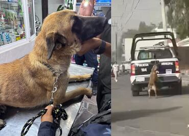 Video viral: Indigna en redes perrita arrastrada por patrulla en Tizayuca; policía explica lo que pasó