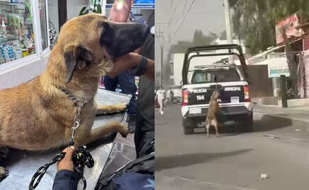 Video viral: Indigna en redes perrita arrastrada por patrulla en Tizayuca; policía explica lo que pasó